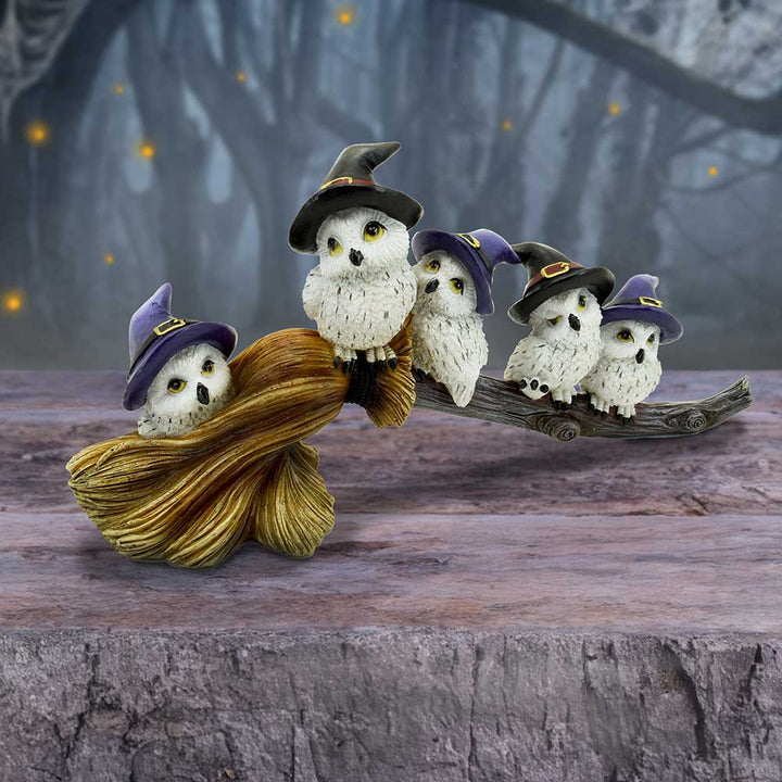 Feathered Broomstick - Alchem Soul