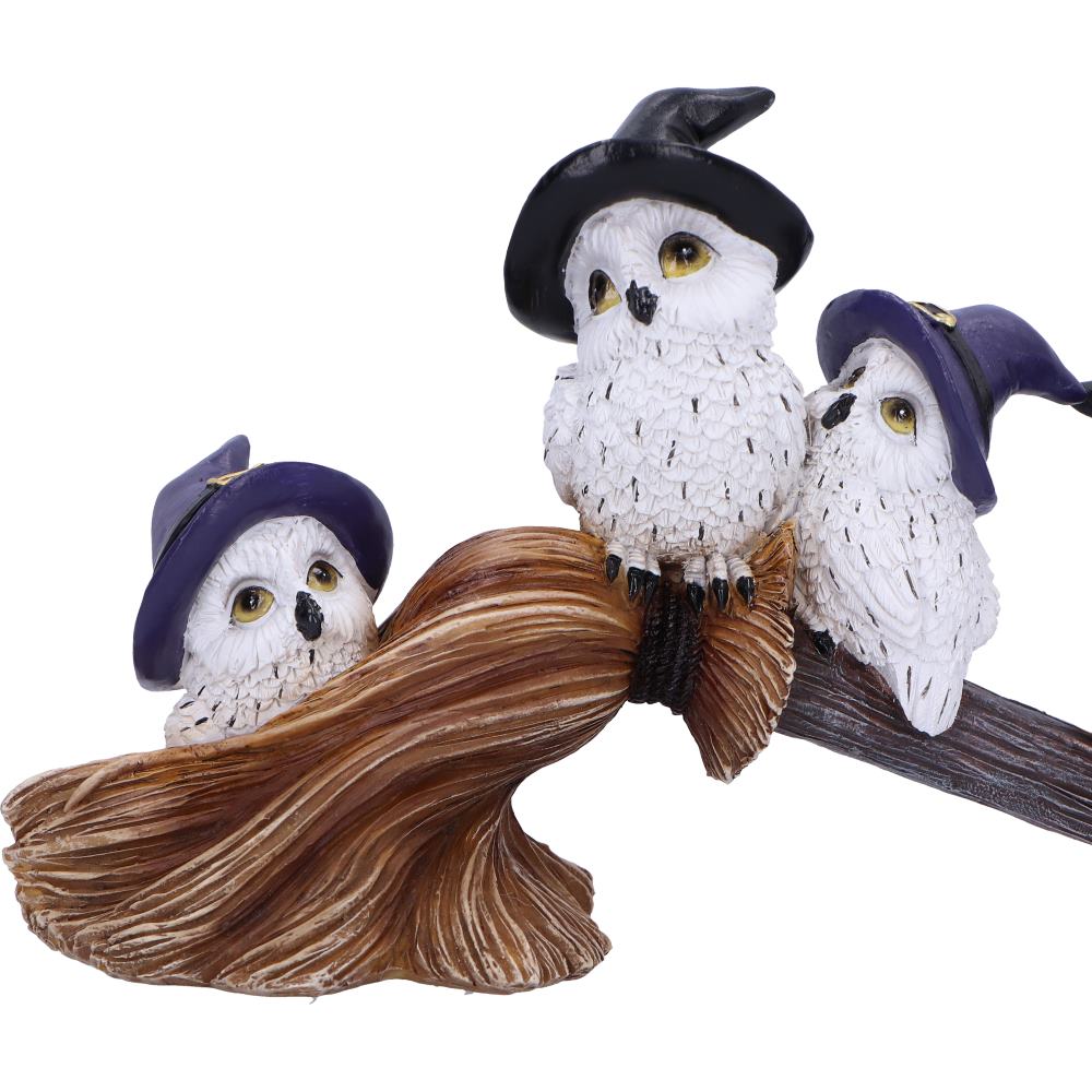 Feathered Broomstick - Alchem Soul