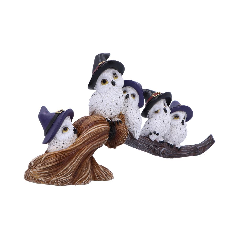 Feathered Broomstick - Alchem Soul
