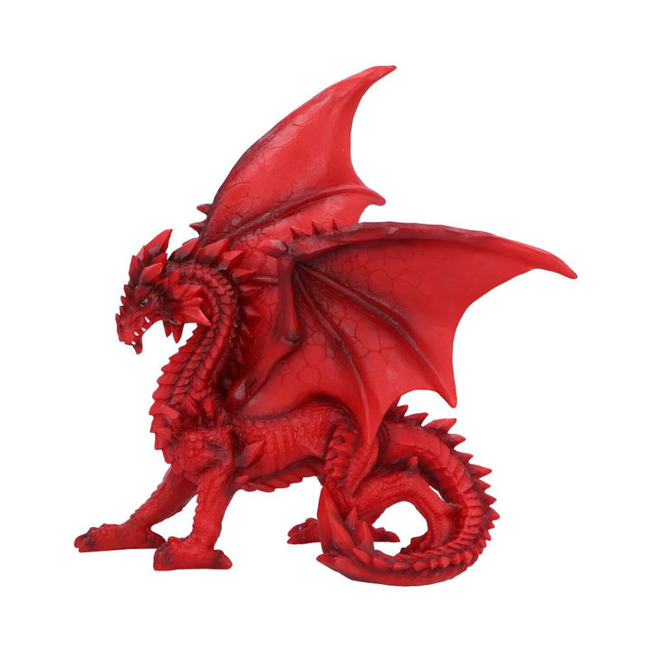 Tailong 21.5cm - Alchem Soul