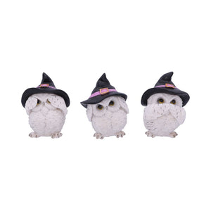 Three Wise Feathered Familiars 9cm - Alchem Soul