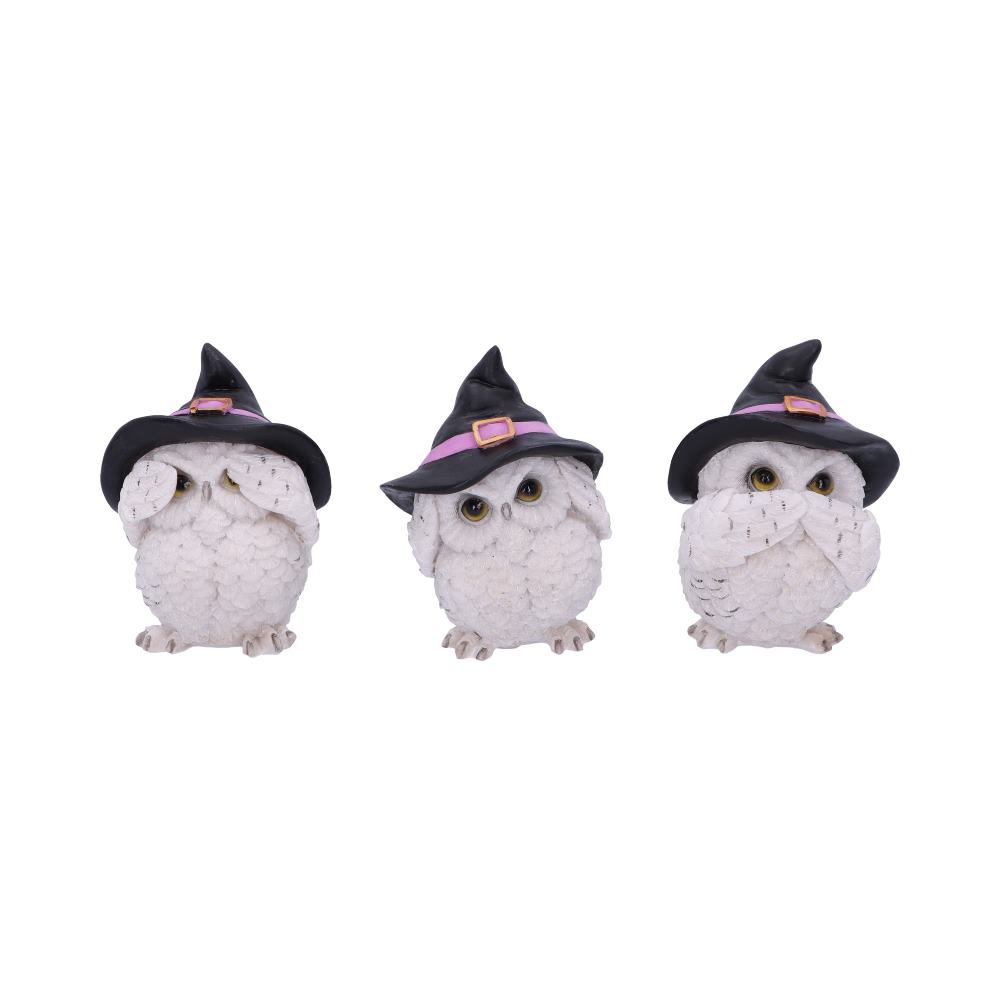 Three Wise Feathered Familiars 9cm - Alchem Soul