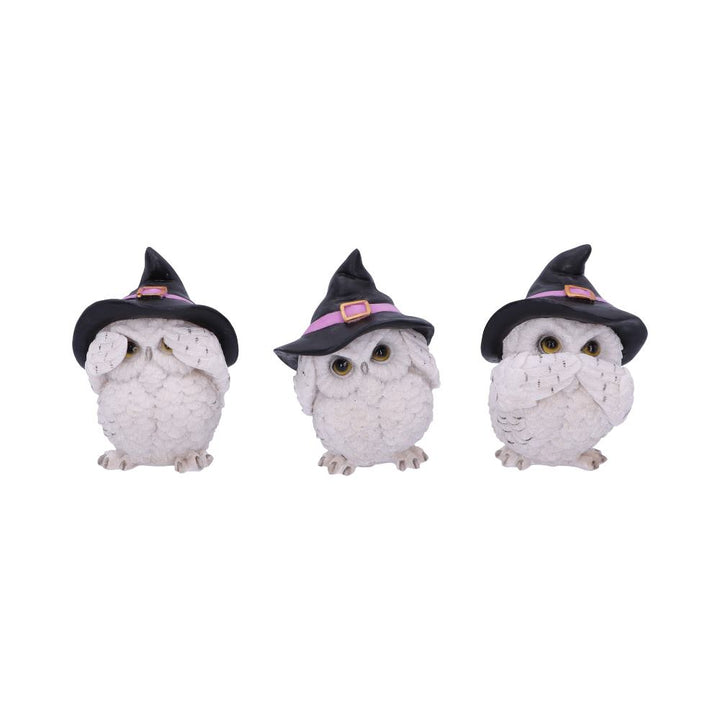 Three Wise Feathered Familiars 9cm - Alchem Soul