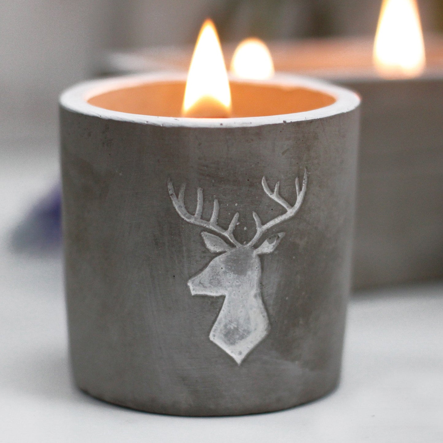 Wooden Wick Candle Med Pot - Stag Head - Whiskey and Woodsmoke - Alchem Soul