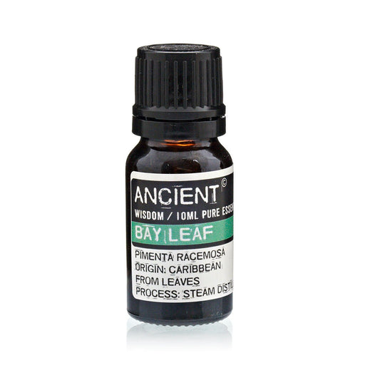 Bay Leaf Essential Oil - 10ml - Alchem Soul