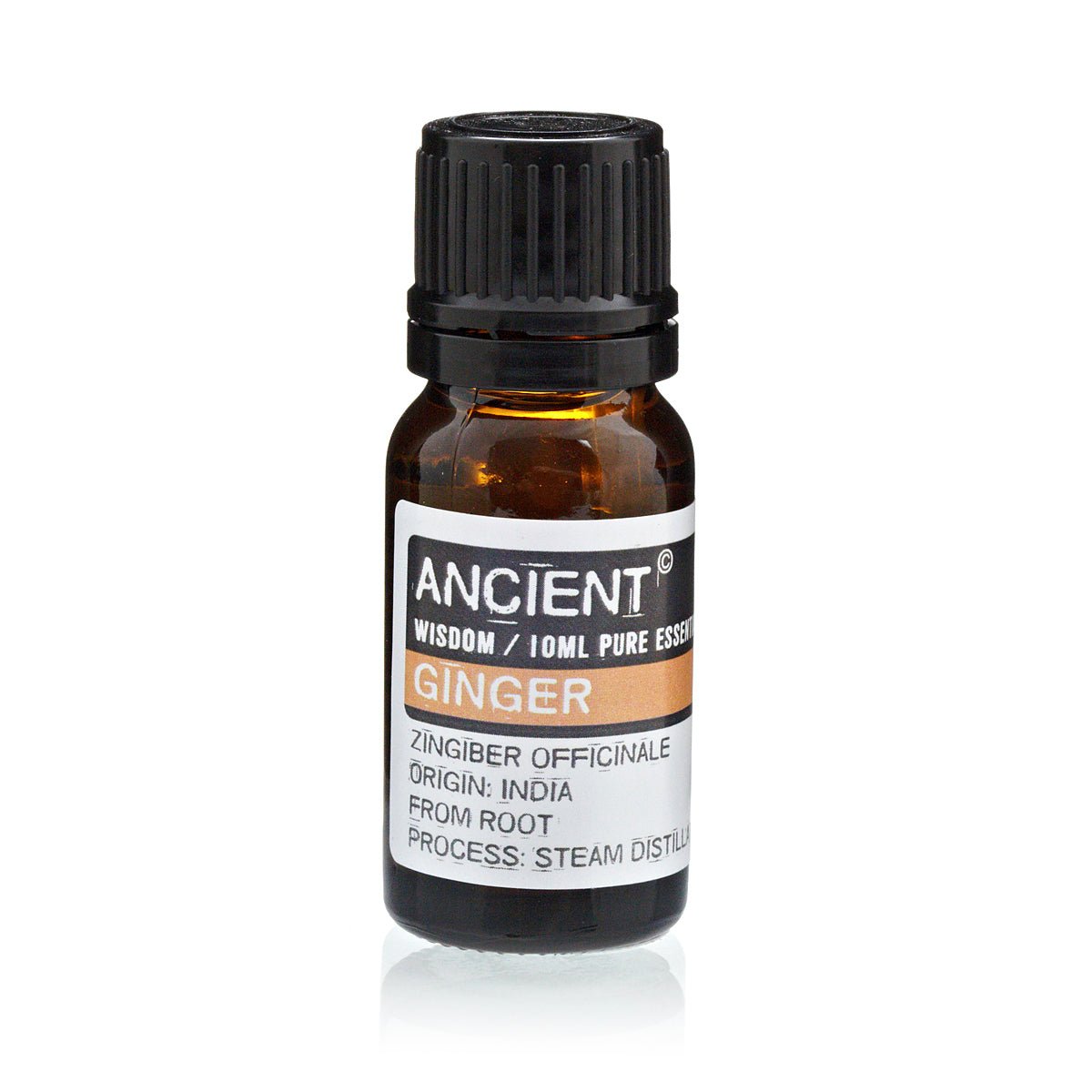 Ginger Essential Oil - 10 ml - Alchem Soul