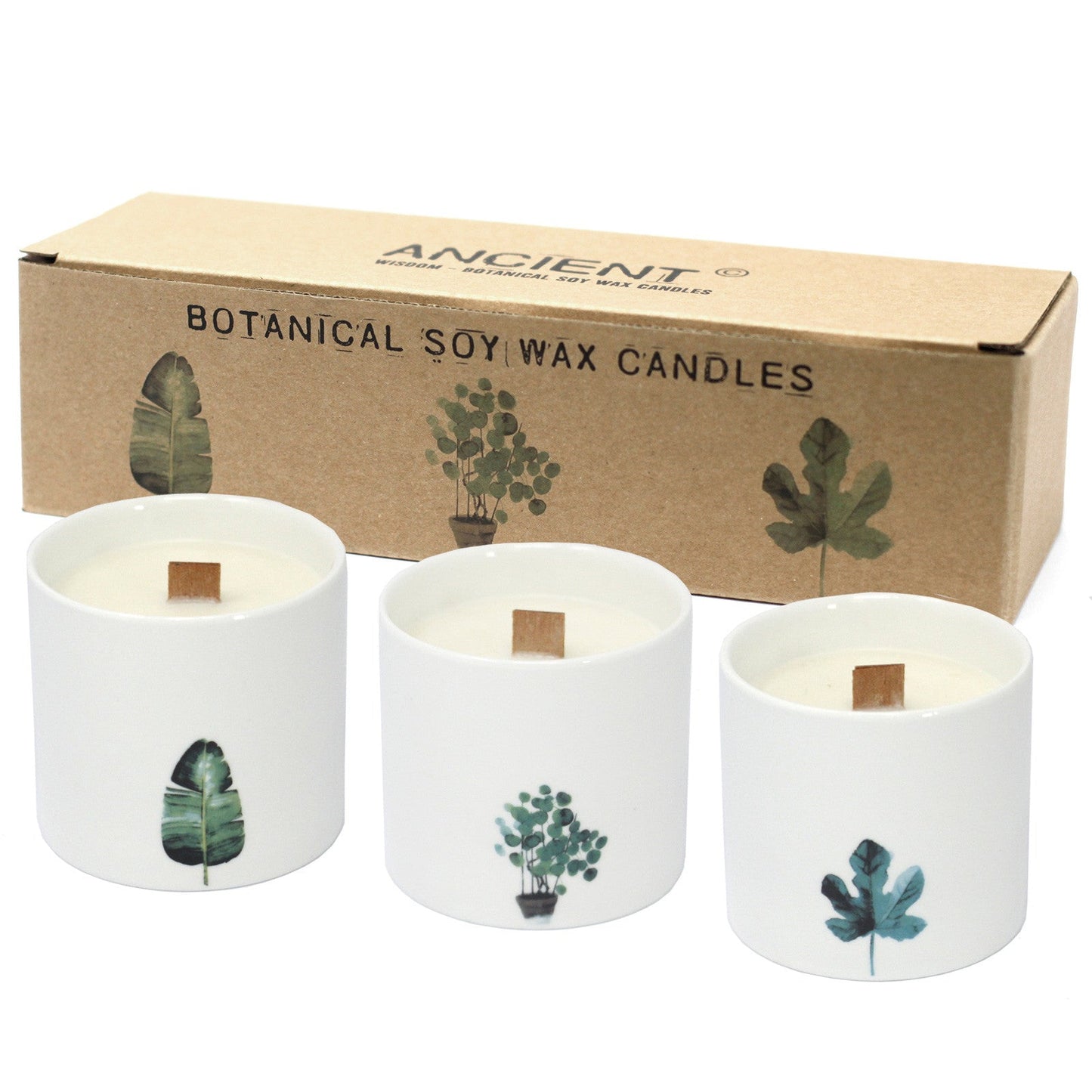 Large Botanical Candles - Marsh Viola - Alchem Soul