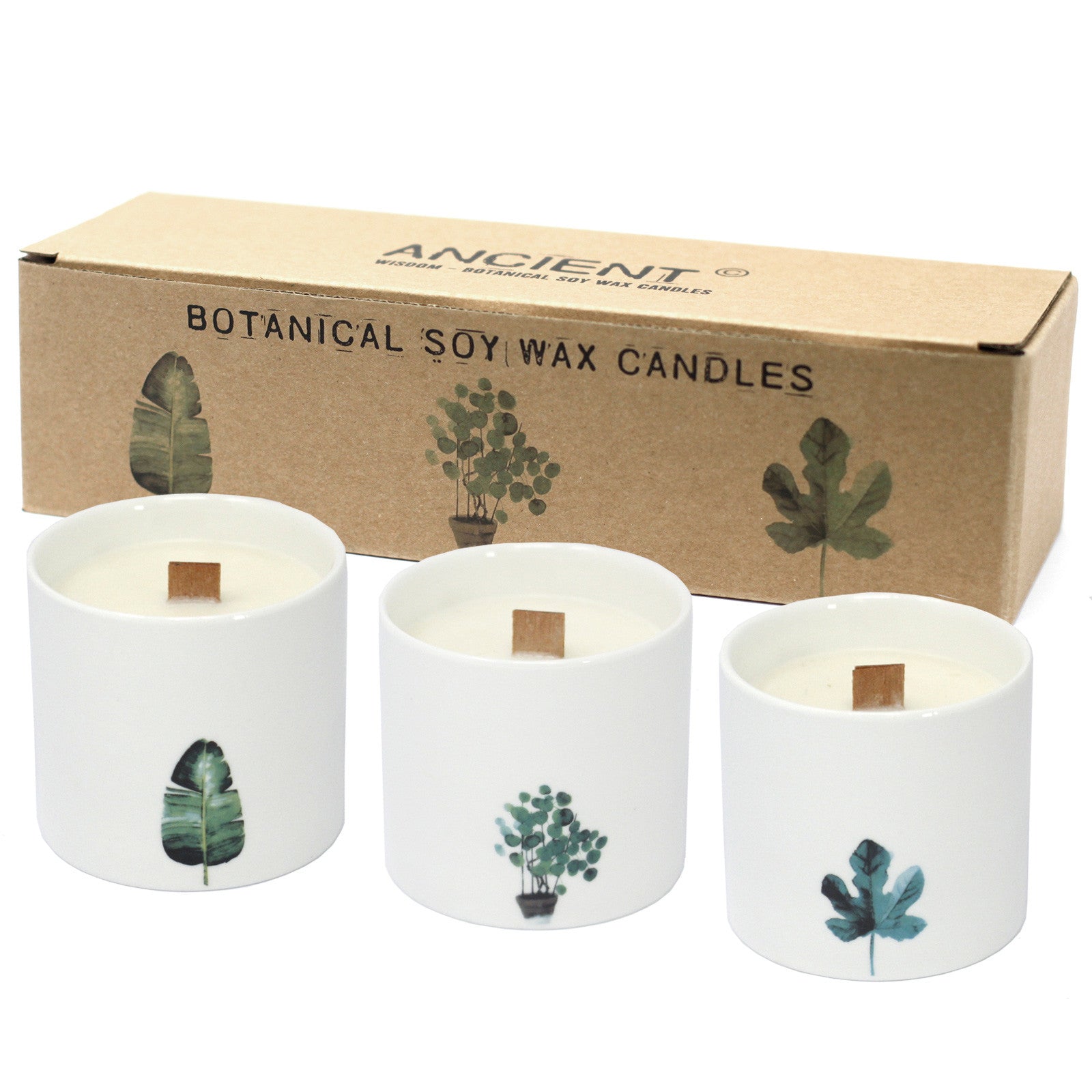 Large Botanical Candles - Wild Jasmine - Alchem Soul