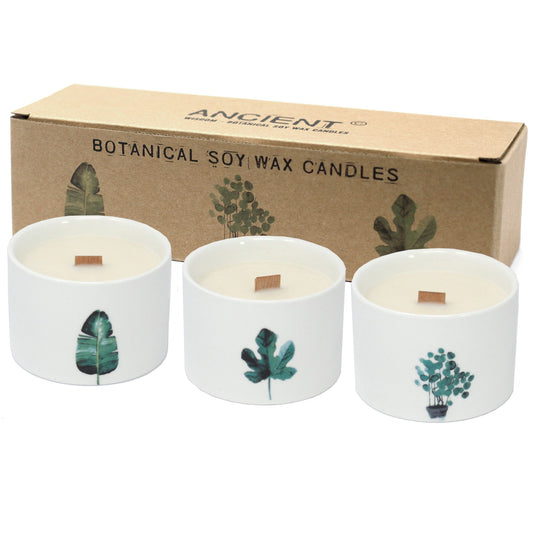 Med Botanical Candles - Japanese Garden - Alchem Soul