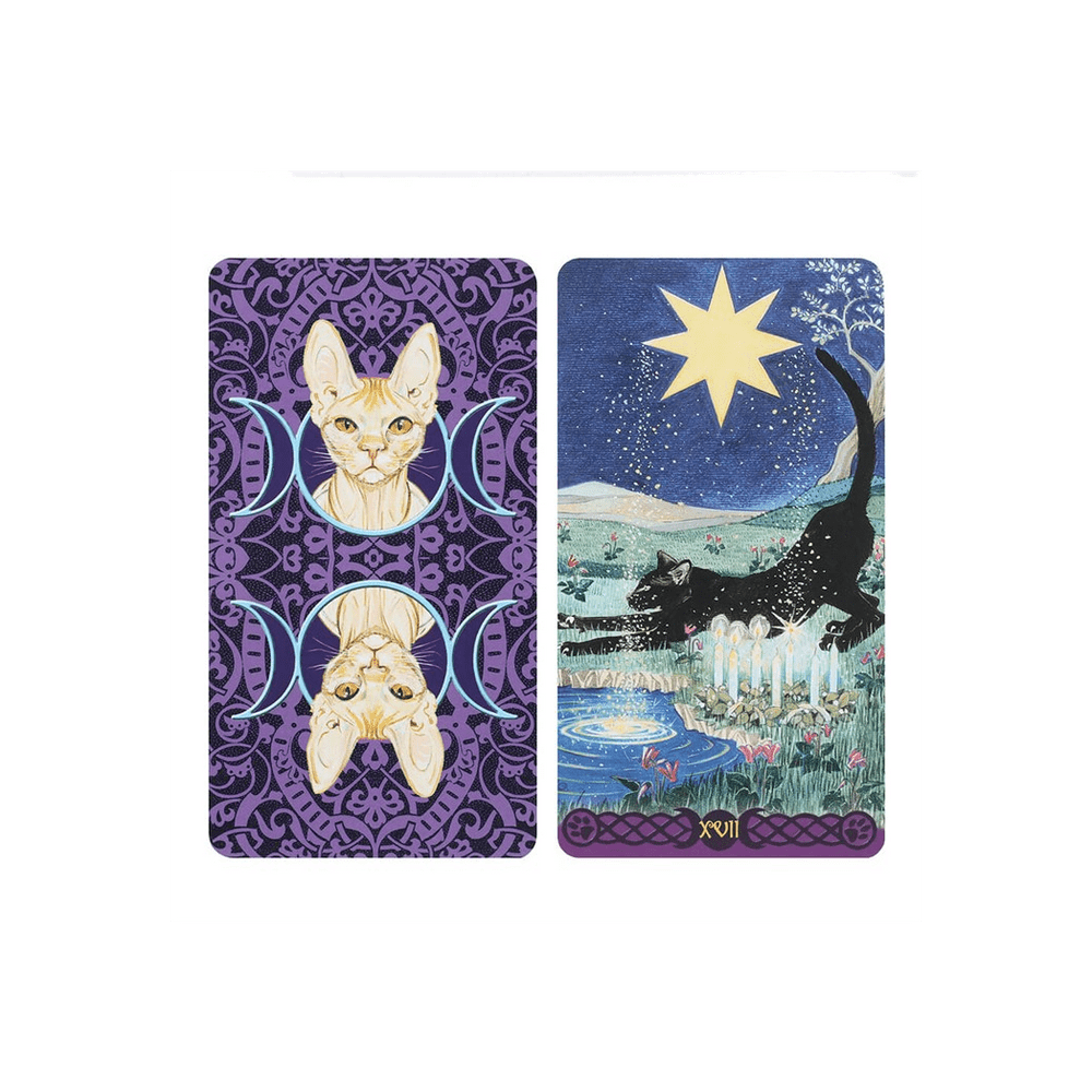 Pagan Cats Tarot Cards - Alchem Soul