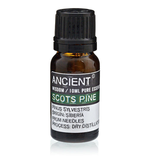 Pine Sylvestris (Scots Pine) Essential Oil - 10 ml - Alchem Soul