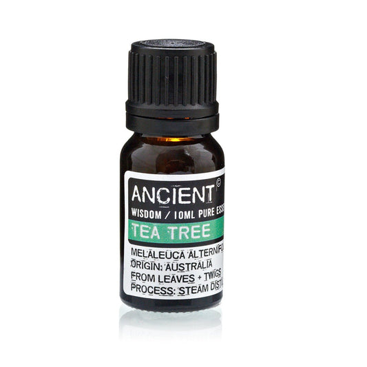 Tea Tree Essential Oil - 10 ml - Alchem Soul