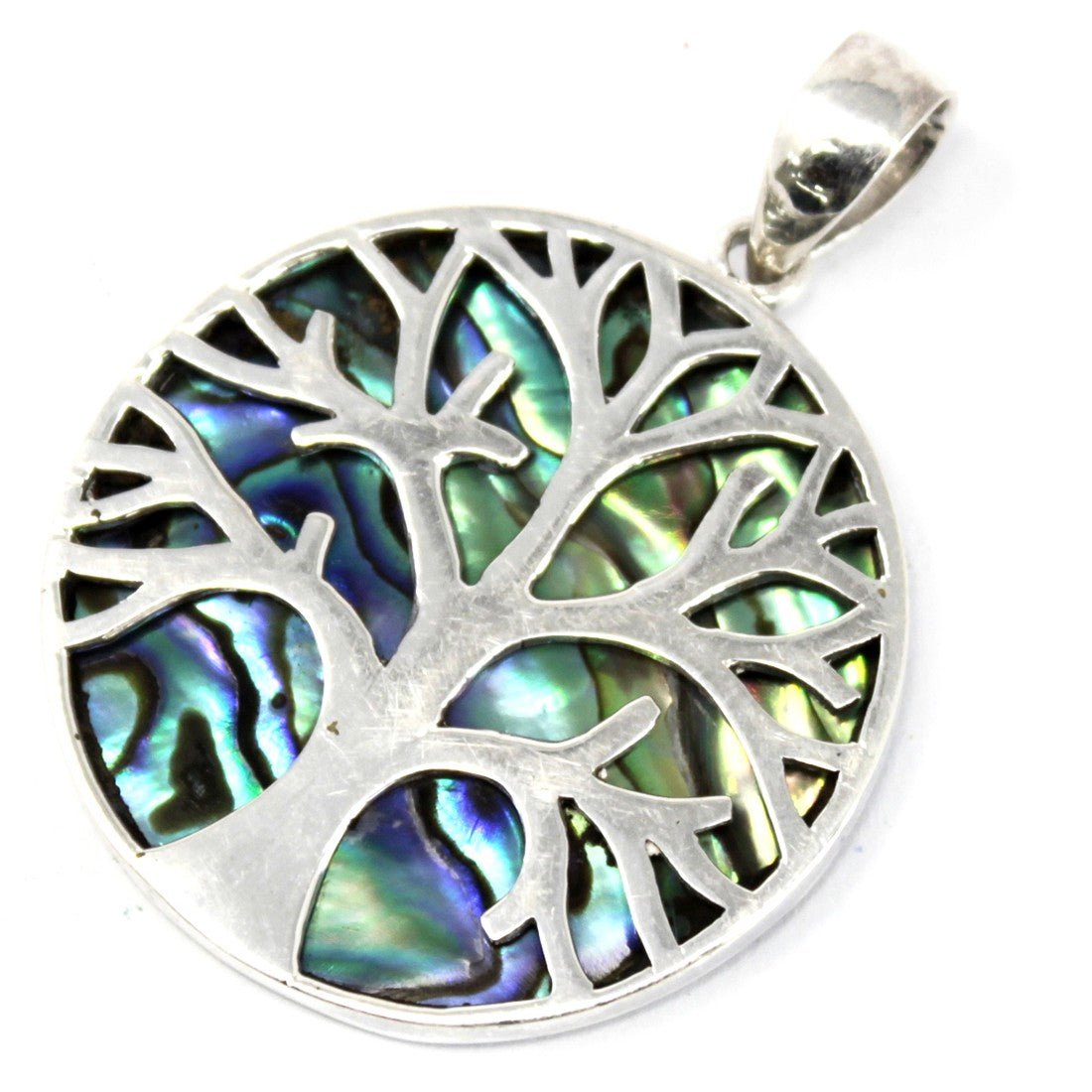 Tree of Life Silver Pendant 30mm - Abalone - Alchem Soul